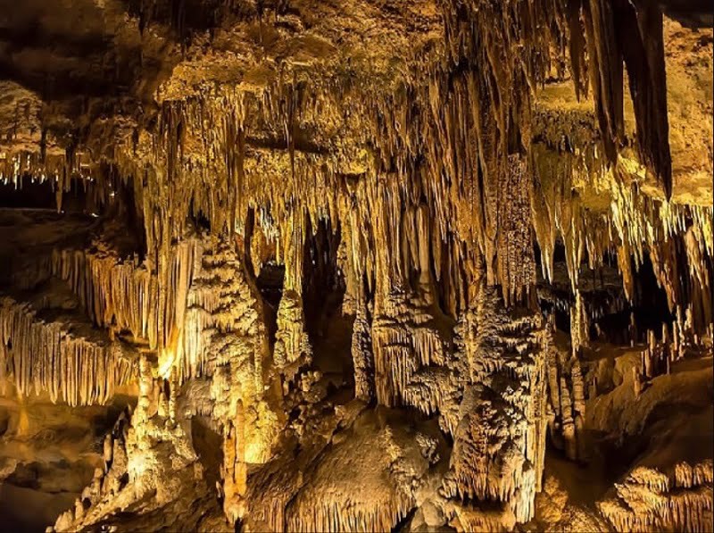 Seize the vibrant spirit of Hoa Binh Travel